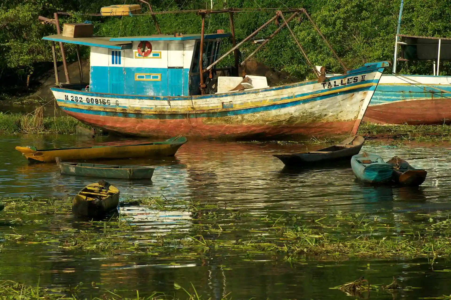 Barcos de pesca no estuário do rio de Contas, em Itacaré, com a mata na margem