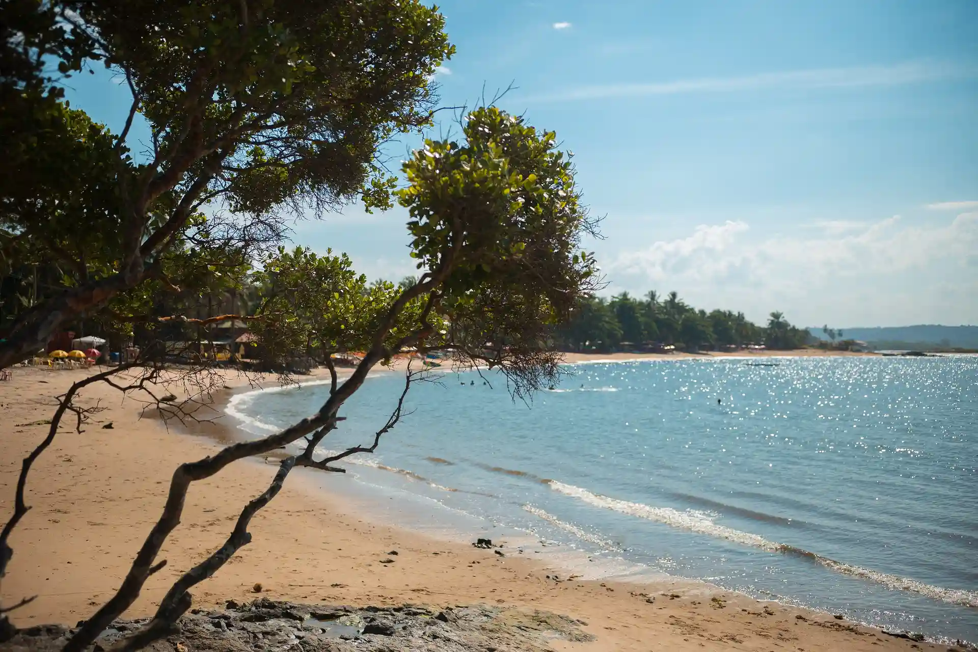A Praia da Concha, em Itacaré: a enseada calma e a areia em curva