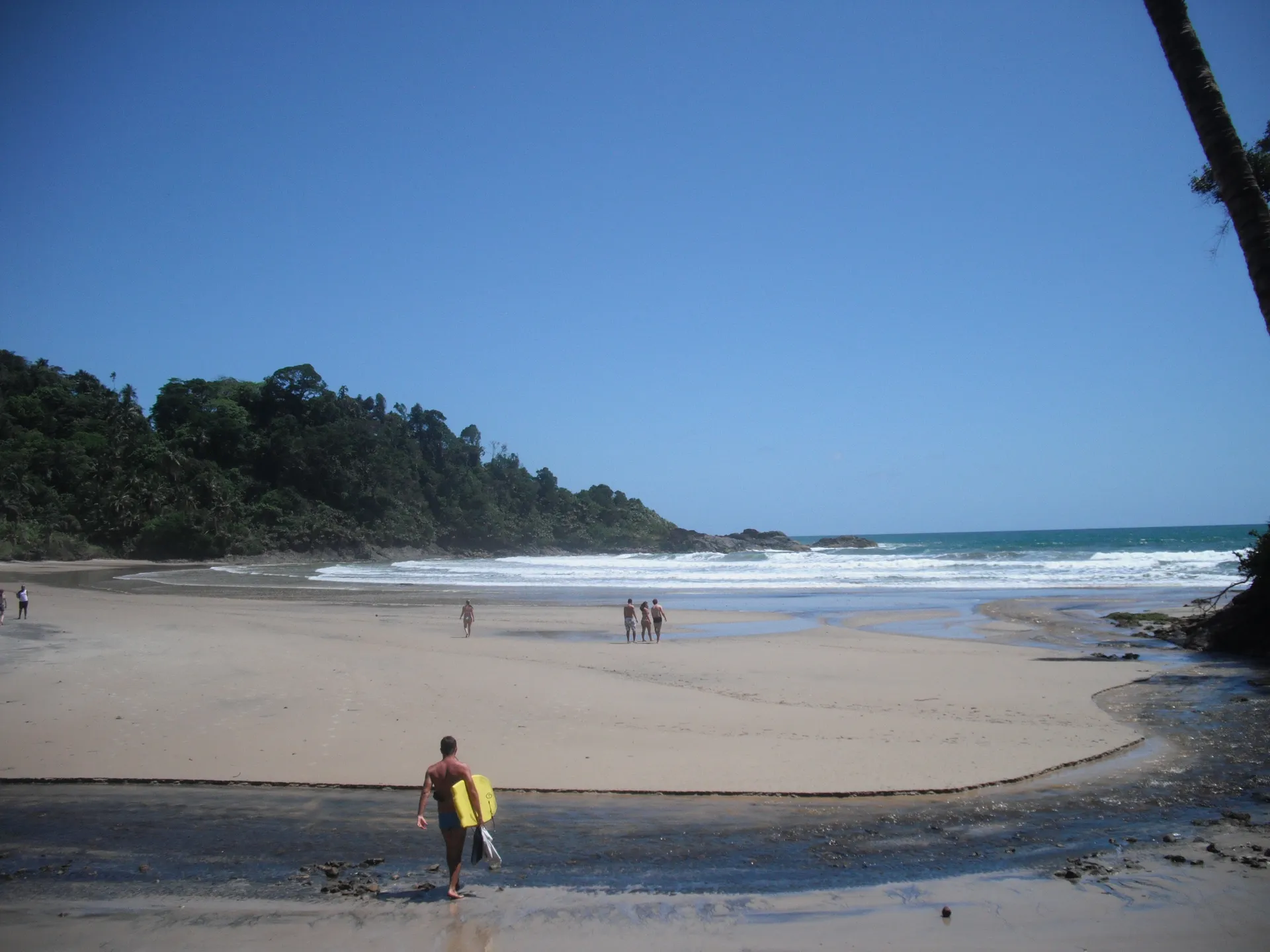 Surfista caminhando com a prancha na areia da Engenhoca, com o morro de mata ao fundo