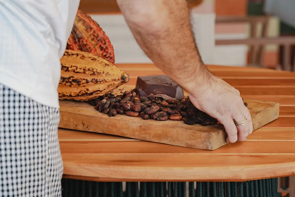 Mãos sobre uma tábua de madeira com fruto de cacau, amêndoas torradas e um bloco de chocolate escuro