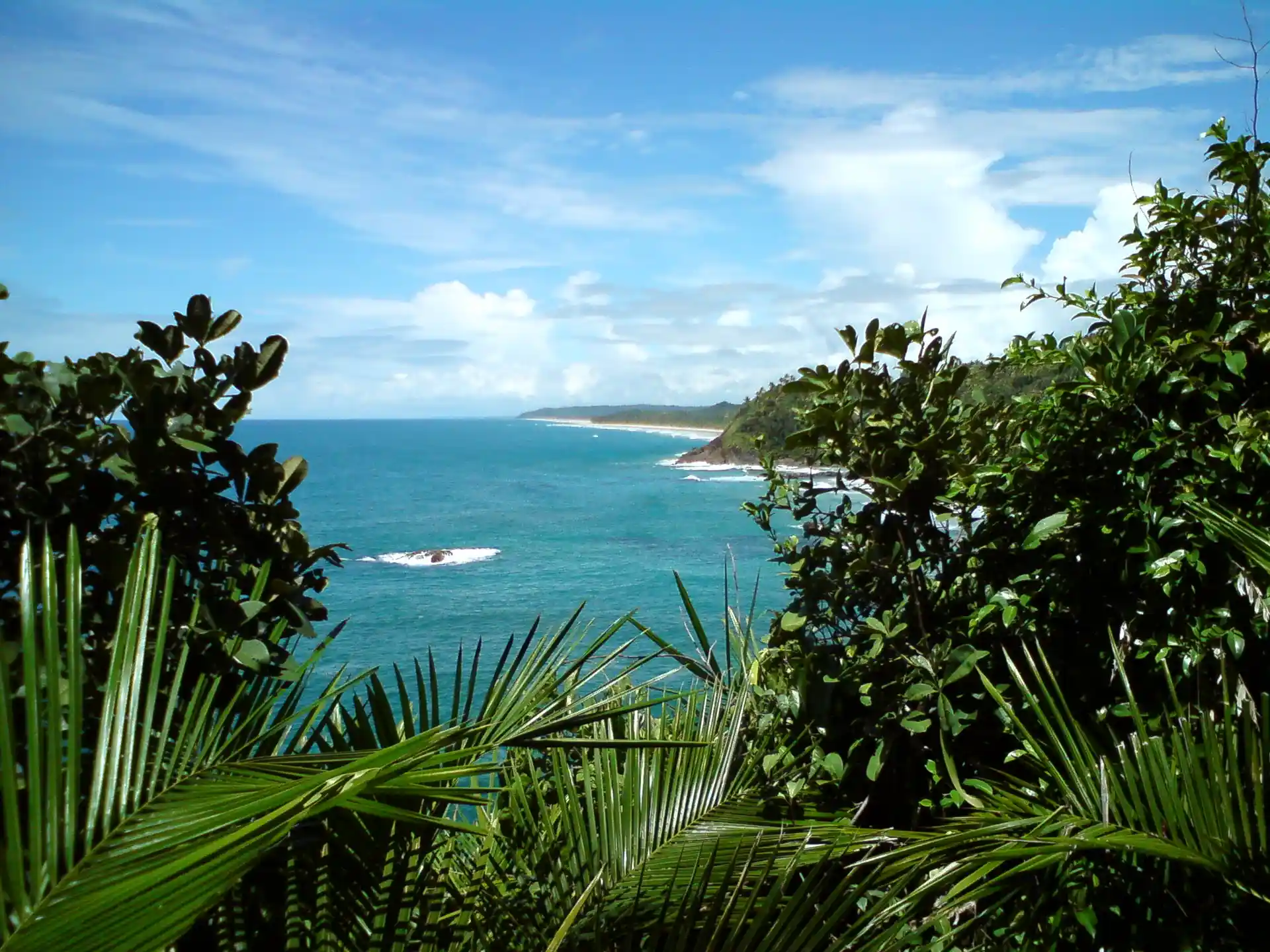 A Praia do Havaizinho vista da trilha, entre a vegetação, com o mar azul e a costa ao fundo