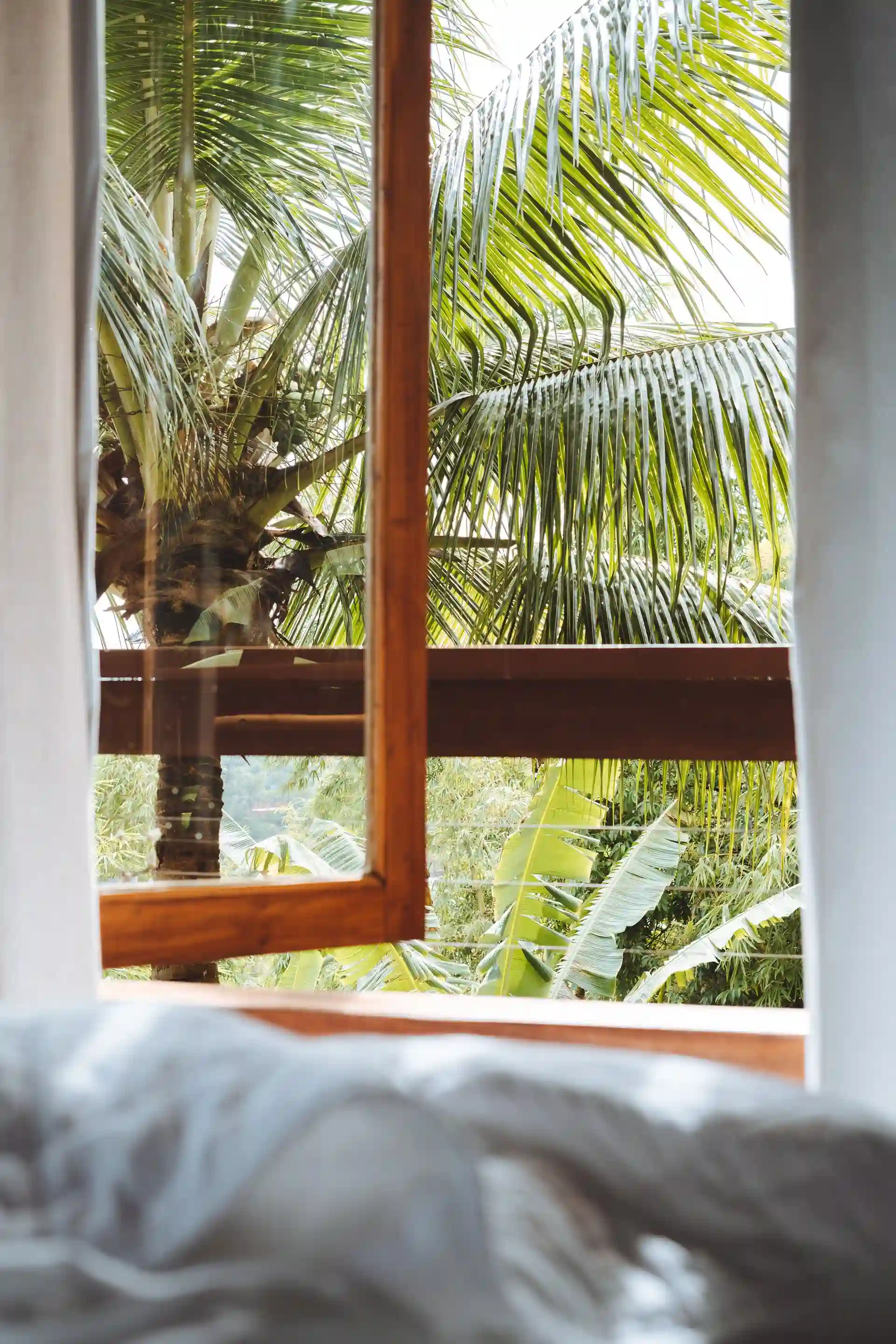 A linen curtain and morning light coming through the window of a Chocolate Hotel suite