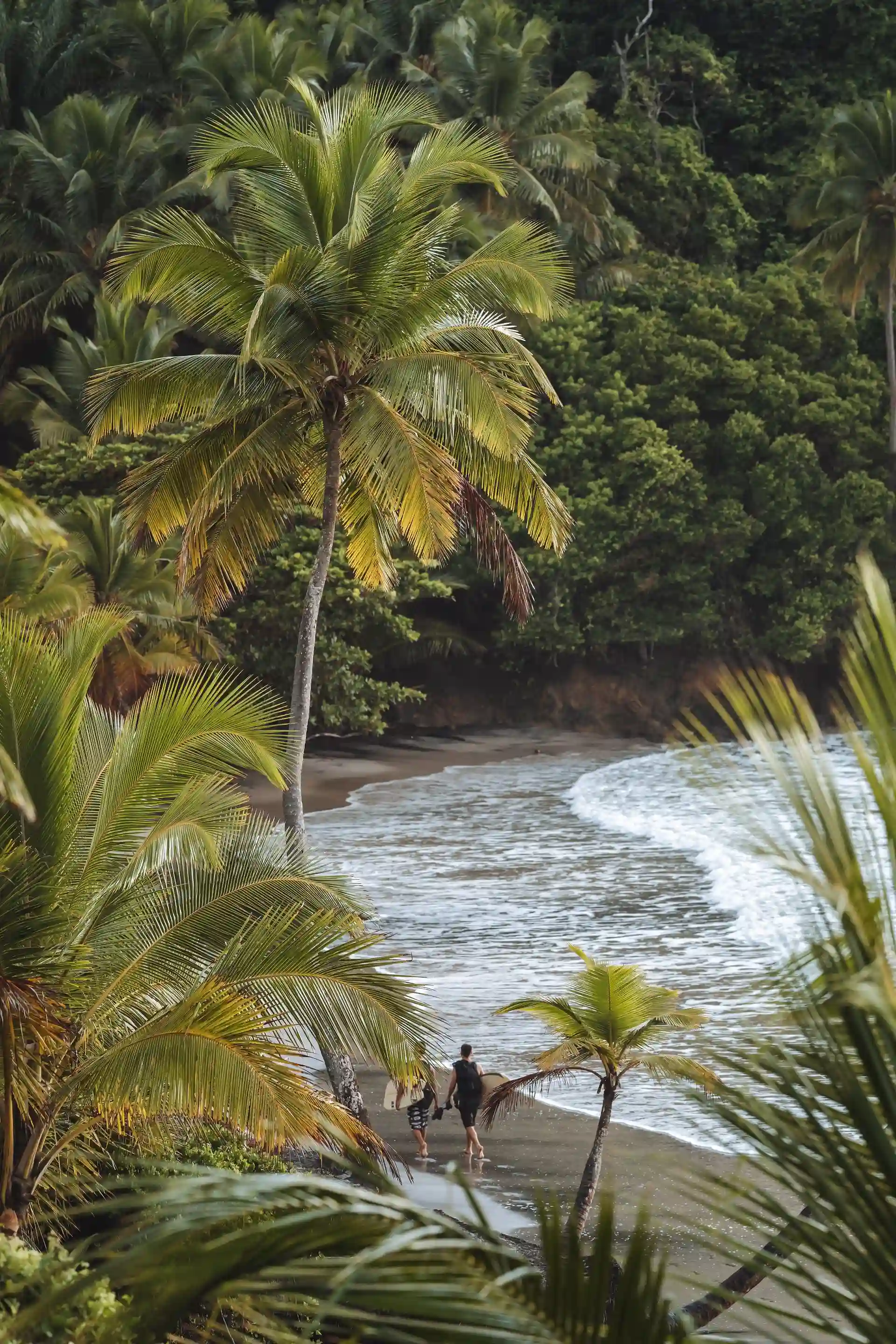 Praia de Itacaré vista de cima da mata