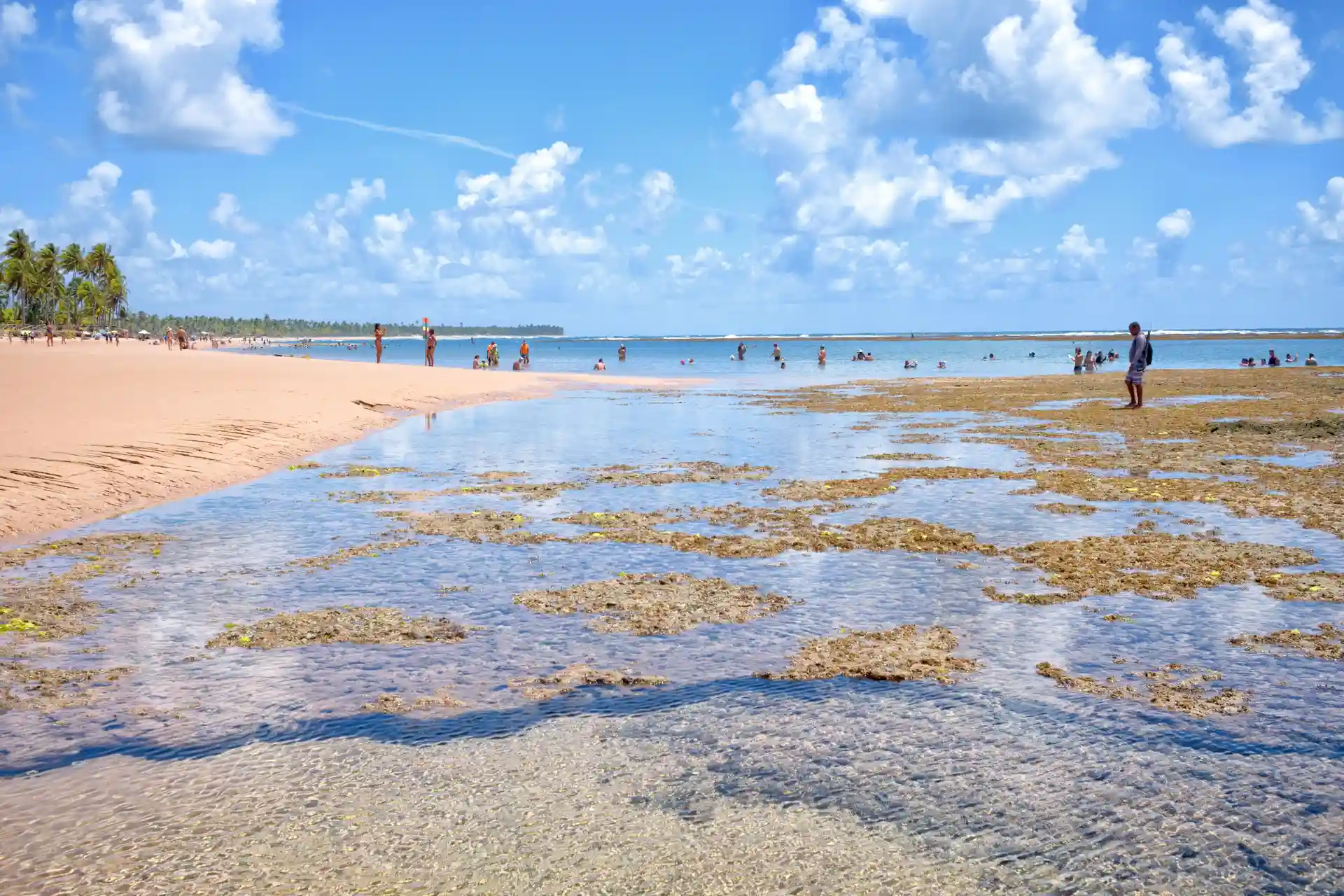 As piscinas naturais de Taipus de Fora na maré baixa: água rasa e transparente sobre o recife, coqueiros ao fundo
