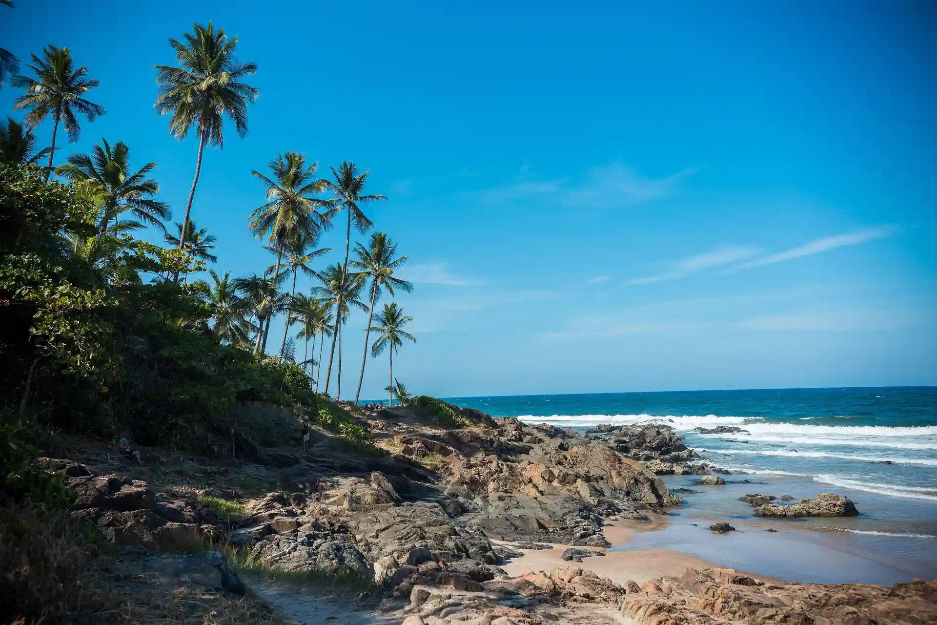 Coqueiros e pedras na beira da Praia da Tiririca, em Itacaré, com o mar aberto